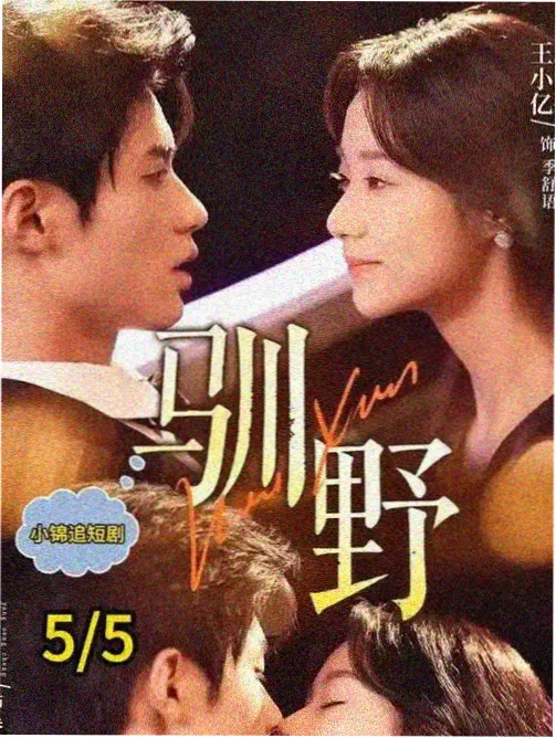 证词不一致 剧集在线